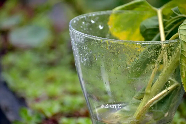 Thème libre en Présentiel 